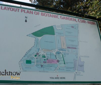 Picture of Botanical Garden (NBRI) Lucknow