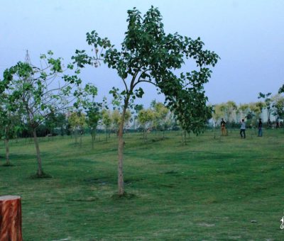 Picture of Janeshwar mishra park - 400-acre green patch in Lucknow