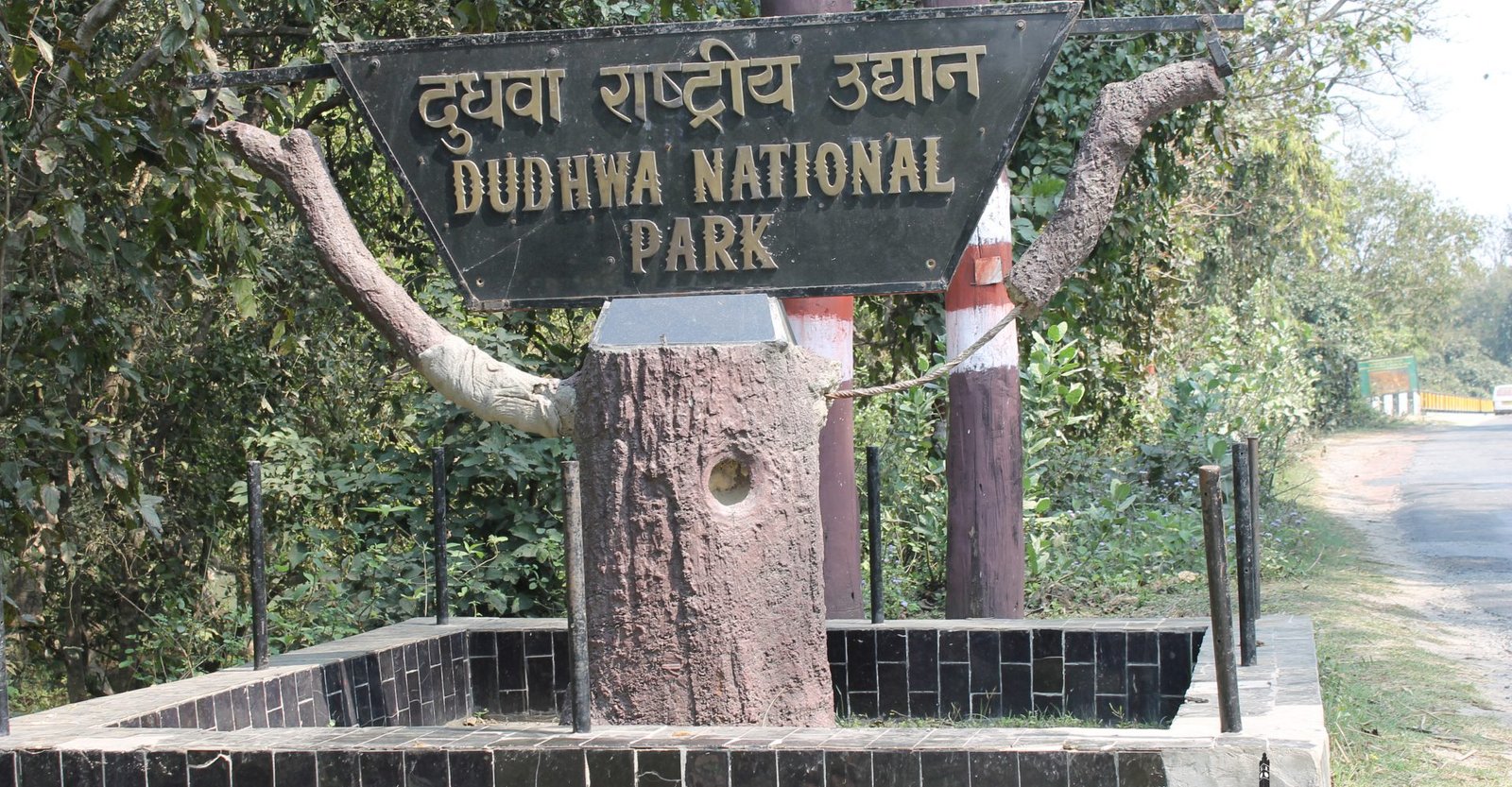 Dudhwa Tiger Reserve- National Park