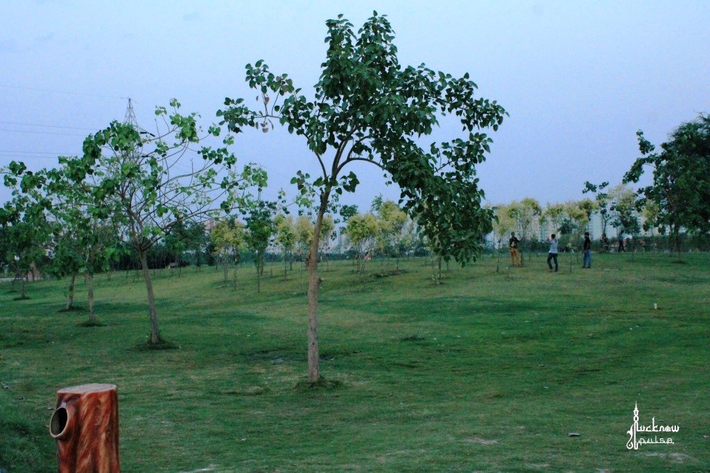 Uttar Pradesh Plantation Drive-Trees Planted